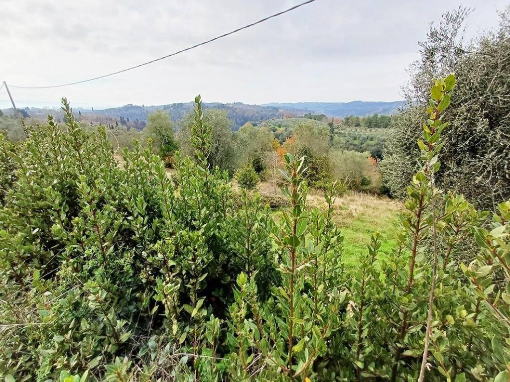 Rustico / casale a Palaia - Foto 2