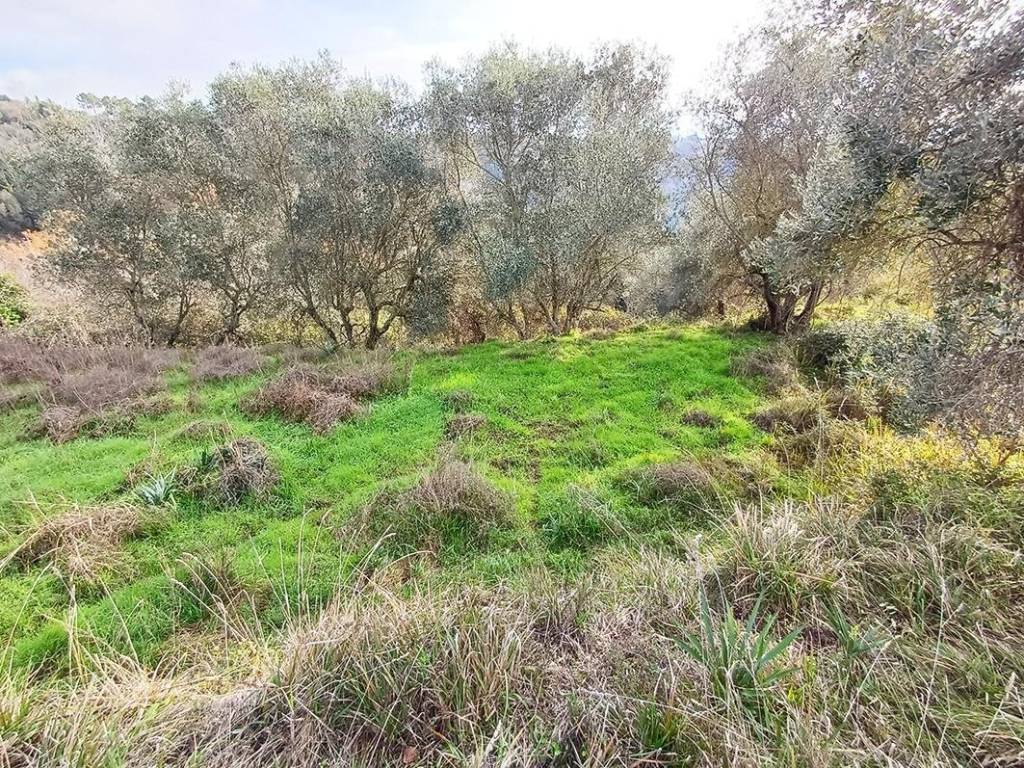 Rustico / casale a Palaia - Foto 5