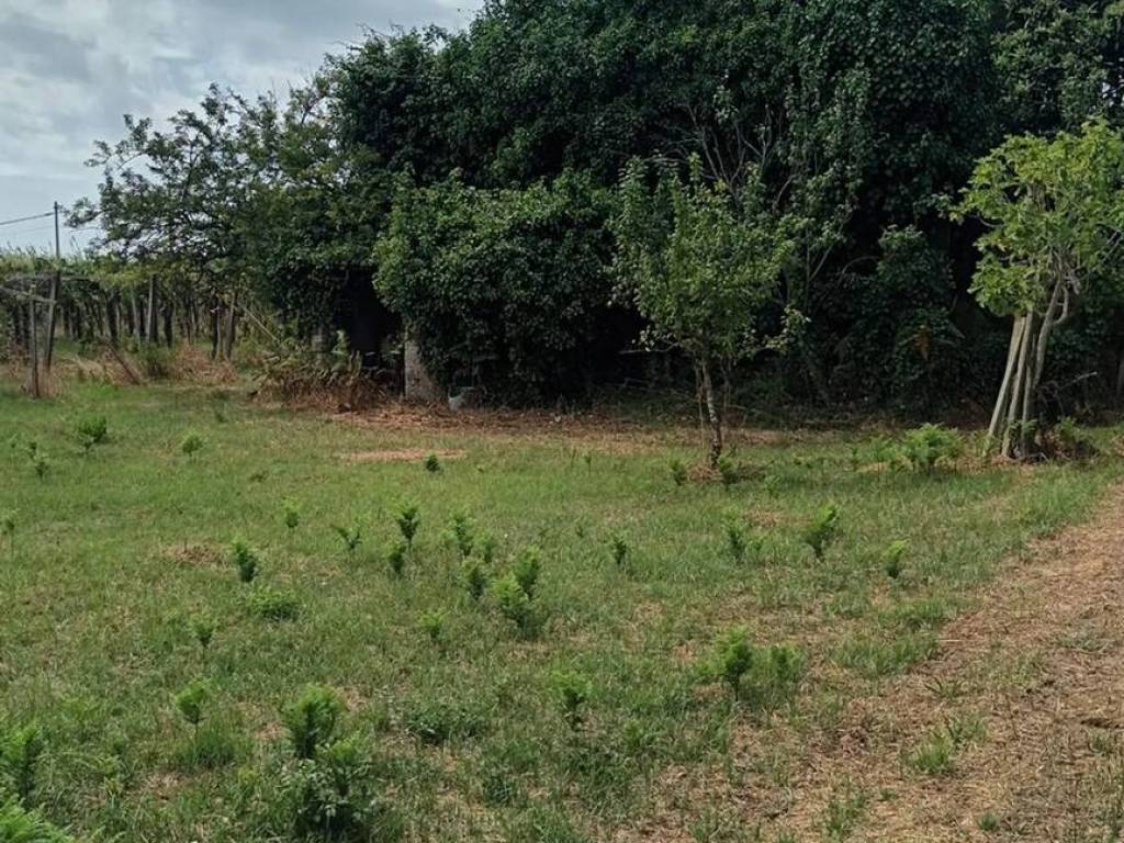 Terreno a Nettuno in Via Monte San Biagio, 26 - Foto 2