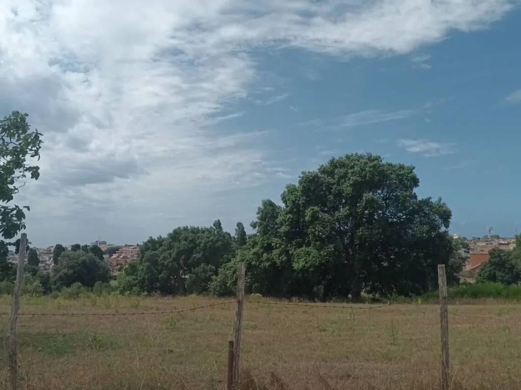Terreno a Nettuno in Via Monte San Biagio, 26 - Foto 3