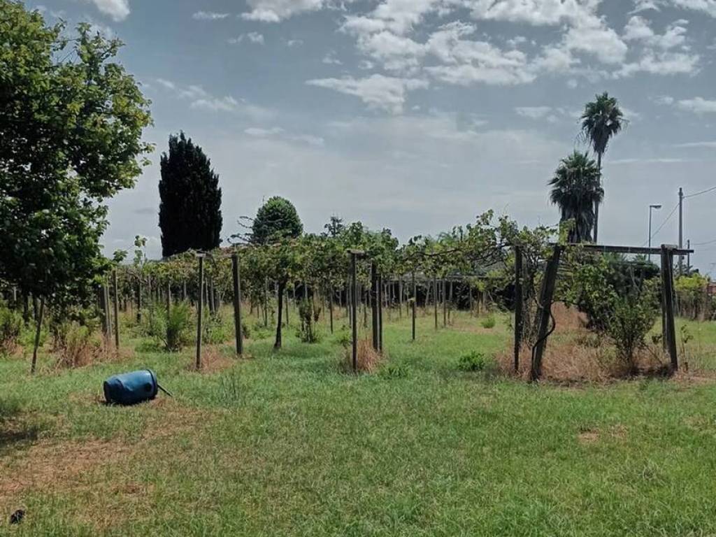 Terreno a Nettuno in Via Monte San Biagio, 26 - Foto 5