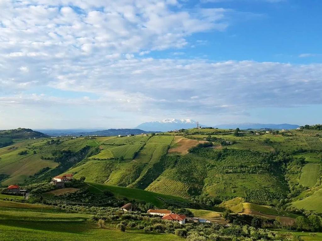 Villa a Pineto in Via Palanca, Mutignano Te No Number - Foto 4