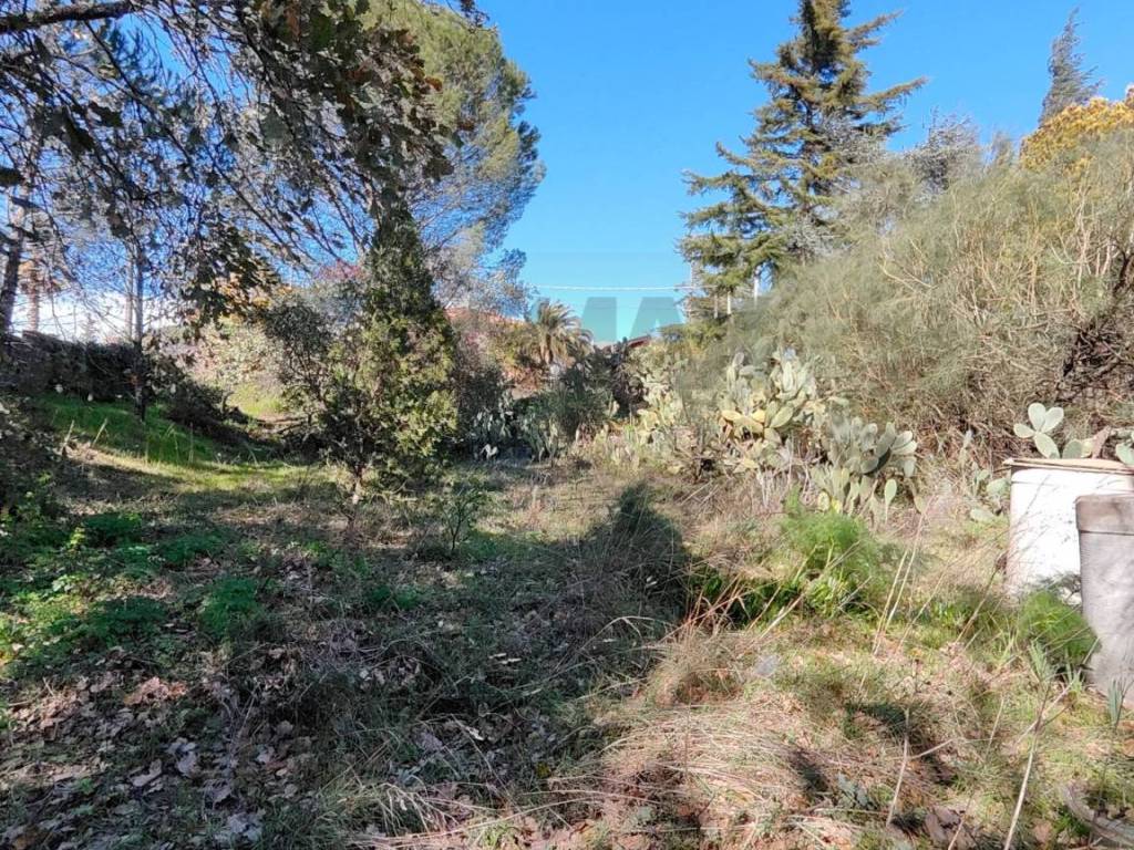 Terreno a Pedara in via generale dalla chiesa - Foto 3
