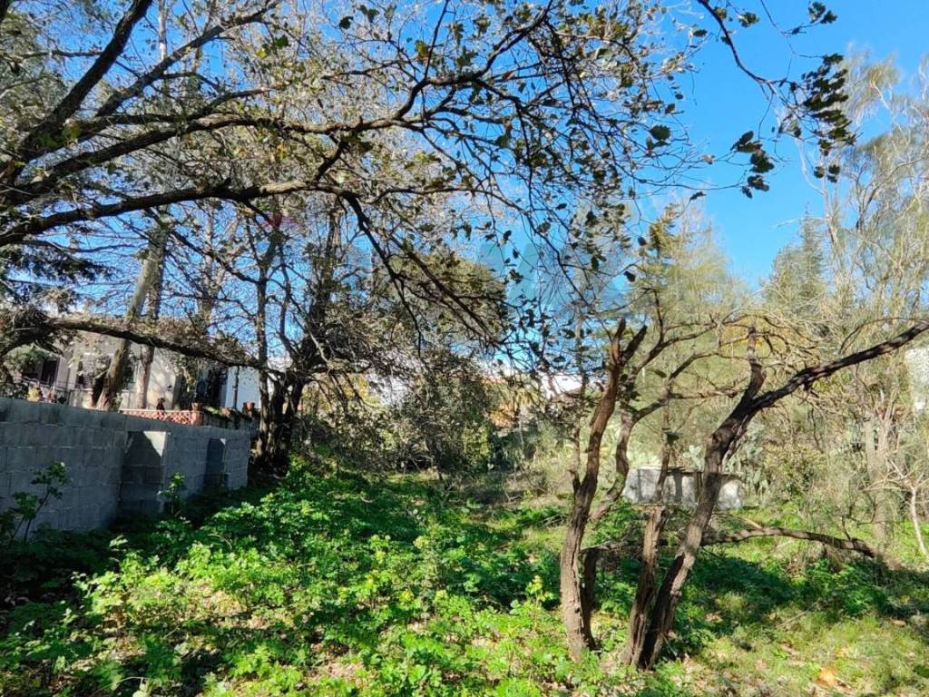 Terreno a Pedara in via generale dalla chiesa - Foto 5