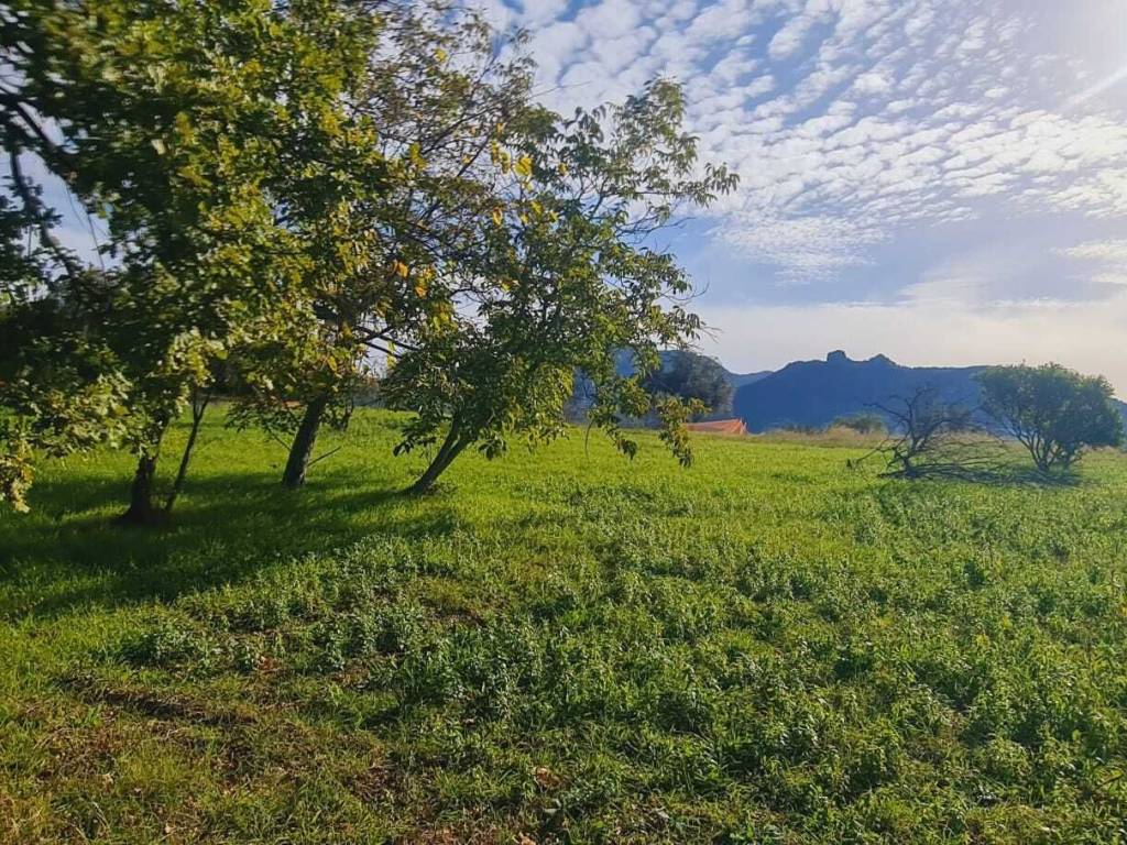 Terreno a Montecorvino rovella in Contrada Pezze - Foto 2