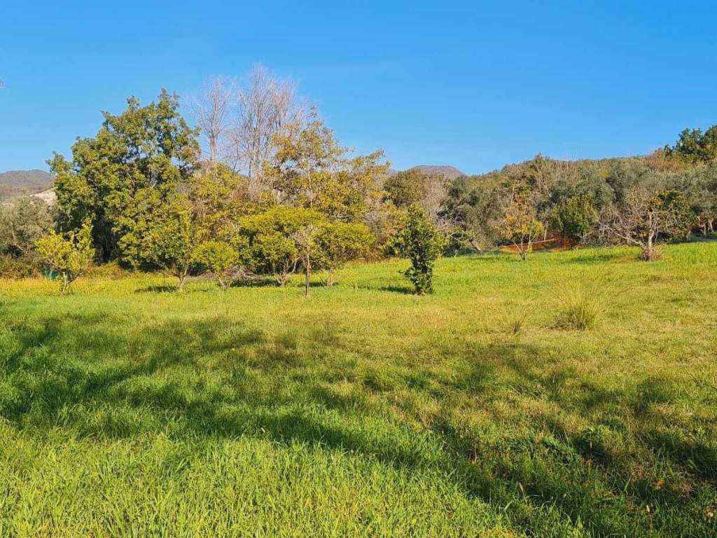 Terreno a Montecorvino rovella in Contrada Pezze - Foto 4