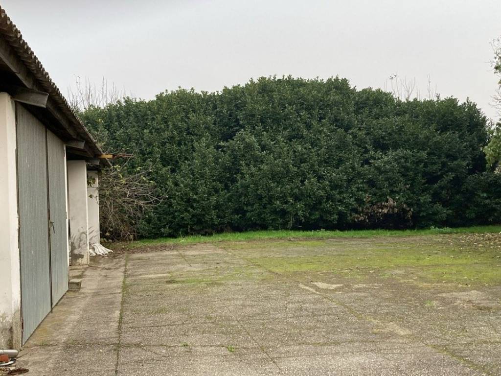 Rustico / casale a Persico dosimo - Foto 5