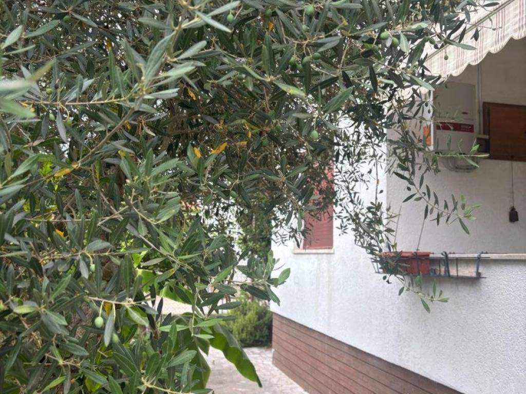 Villa a Gorizia in Via Brigata Sassari - Foto 4