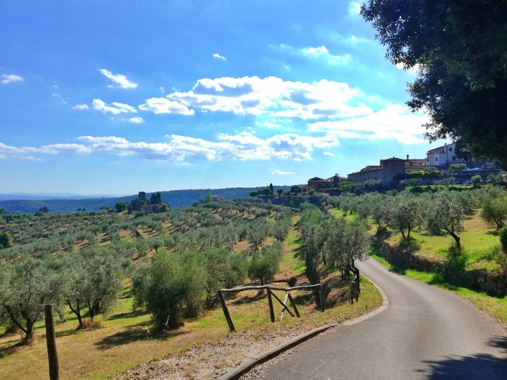 Villa a Montelupo fiorentino in Via 1 Maggio, 12 - Foto 2