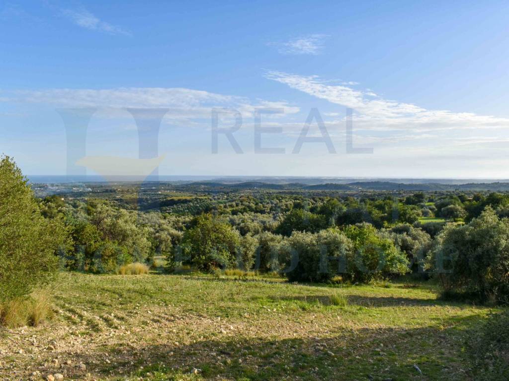 Terreno a Noto in Strada Provinciale Avola Bochini Noto - Foto 3