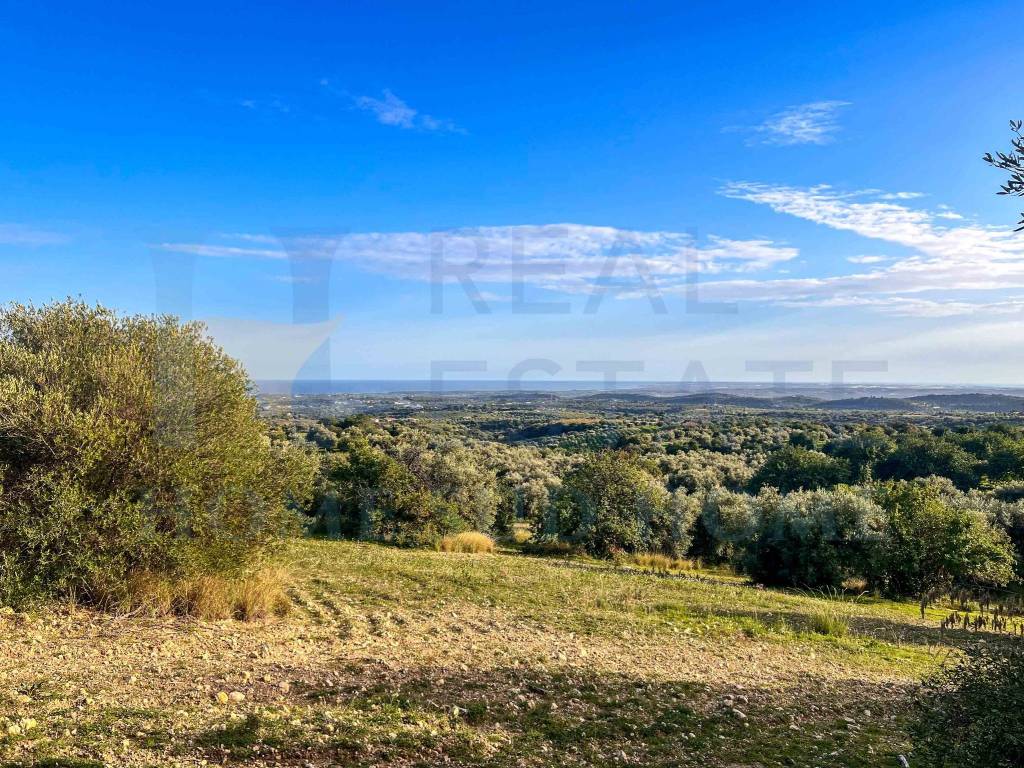 Terreno a Noto in Strada Provinciale Avola Bochini Noto - Foto 4