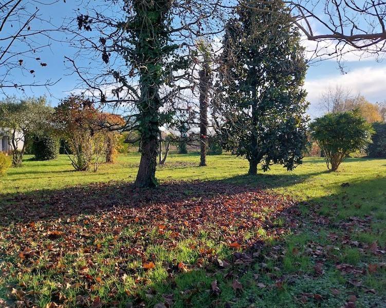 Terreno a Saonara - Foto 2