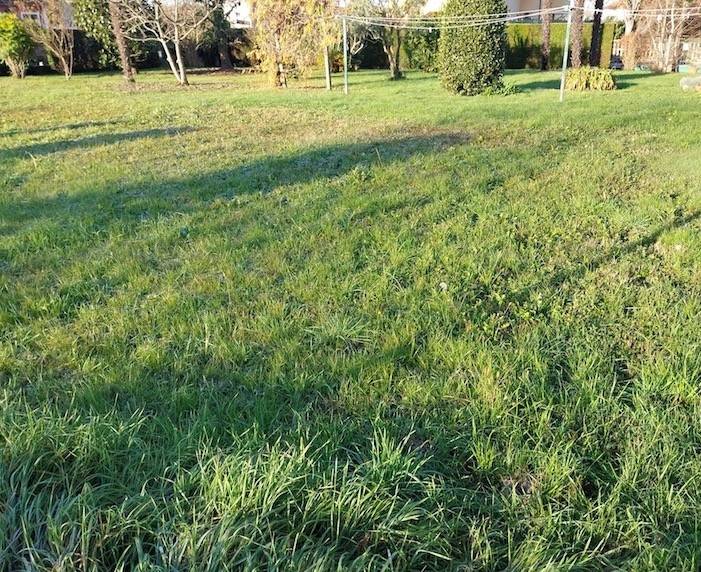 Terreno a Saonara - Foto 3