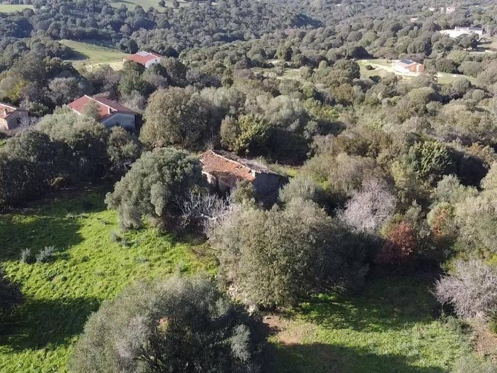 Terreno a Padru - Foto 4