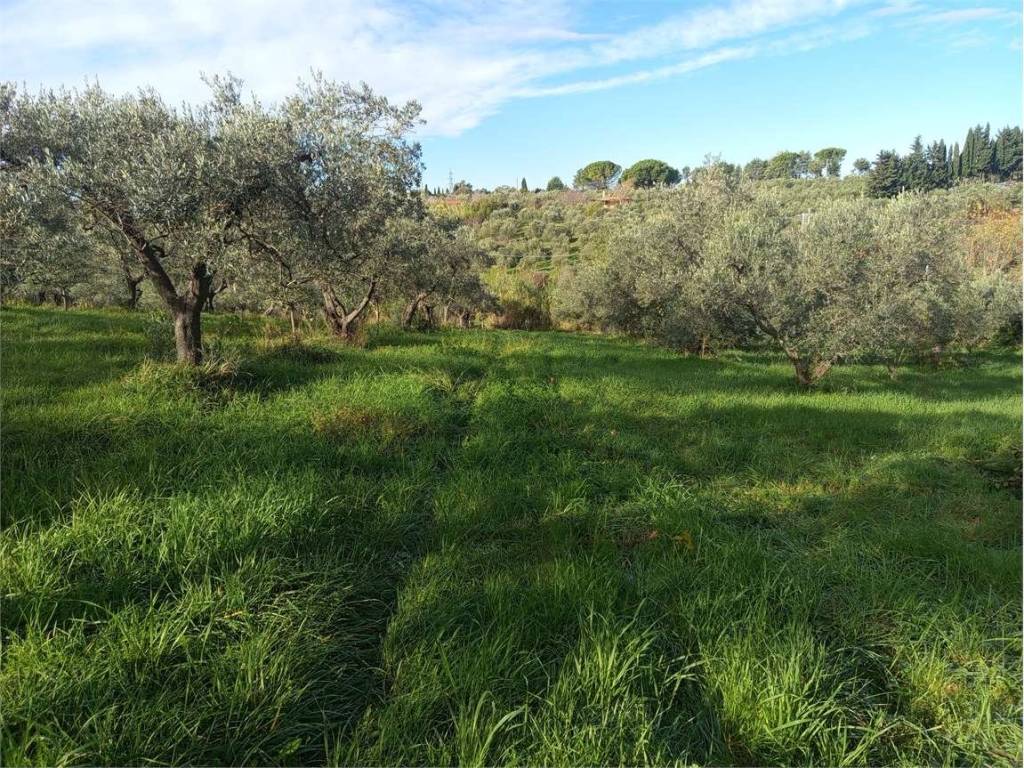Terreno a Livorno in via del limoncino - Foto 2