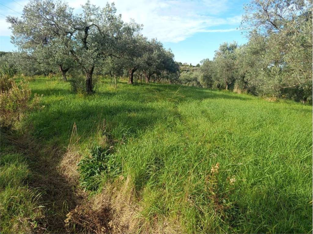 Terreno a Livorno in via del limoncino - Foto 5