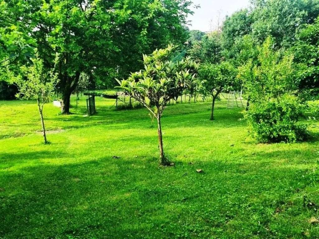 Terreno a Collesalvetti in Via Delle Sorgenti No Number - Foto 2