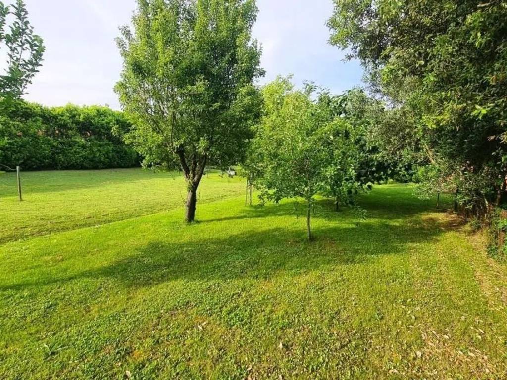 Terreno a Collesalvetti in Via Delle Sorgenti No Number - Foto 3