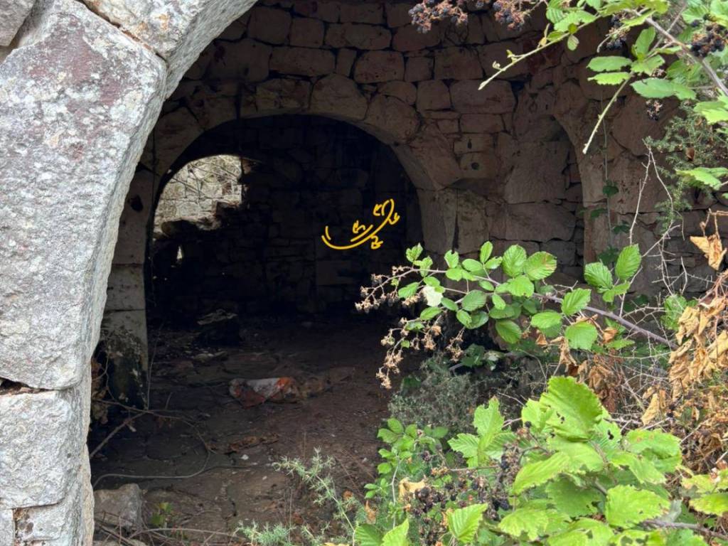 Rustico / casale a Noci in Contrada Scarcioppola - Foto 2