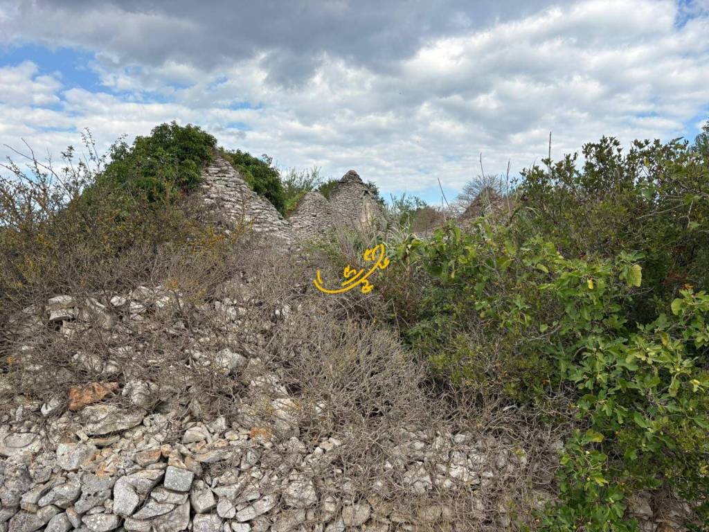 Rustico / casale a Noci in Contrada Scarcioppola - Foto 5