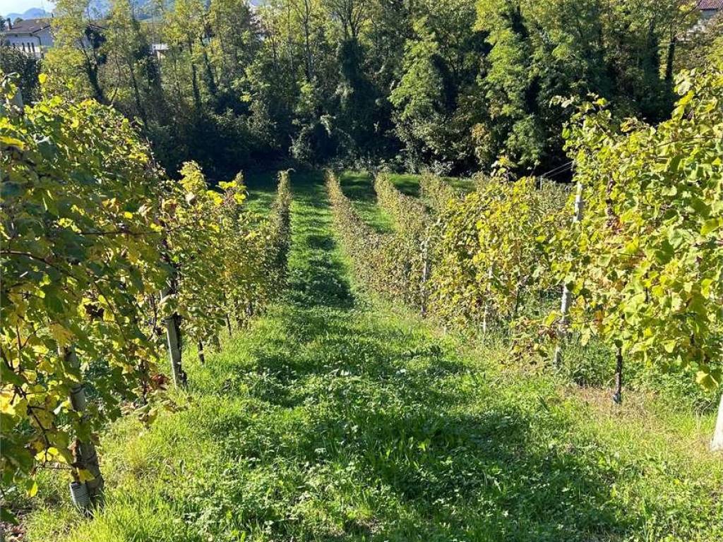 Terreno a Refrontolo in via della vittoria, 10 - Foto 3