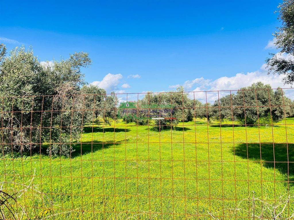 Terreno a Vittoria in Contrada Bastonaca - Foto 3