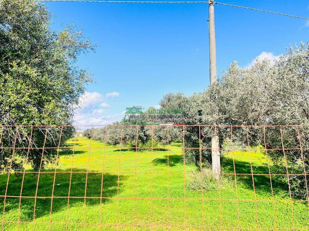 Terreno a Vittoria in Contrada Bastonaca - Foto 5