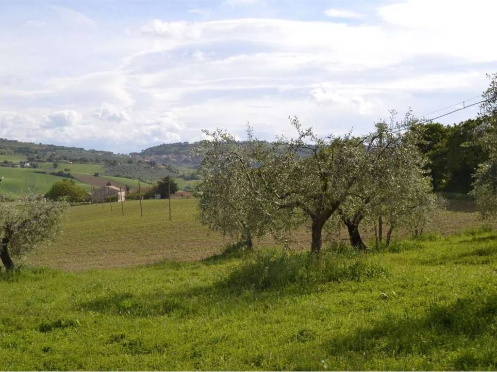 Terreno a Cartoceto in Via San Vincenzo No Number - Foto 3