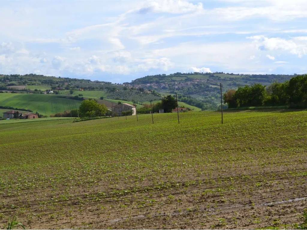 Terreno a Cartoceto in Via San Vincenzo No Number - Foto 4