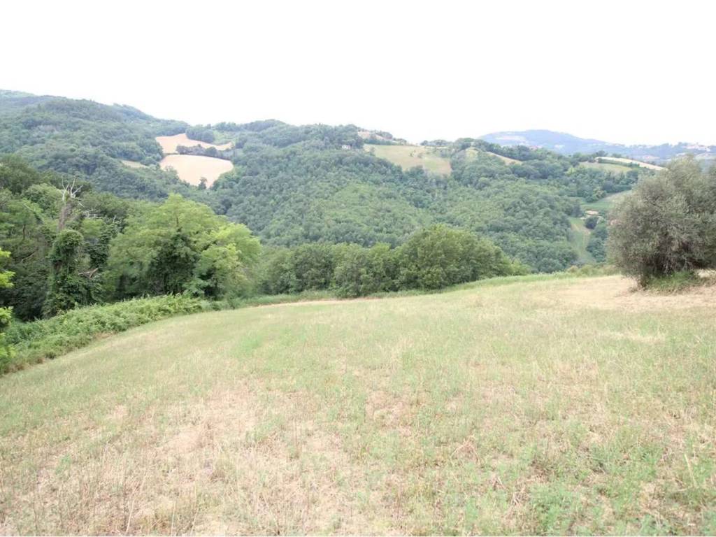 Terreno a Montelabbate in Via Roma No Number - Foto 2