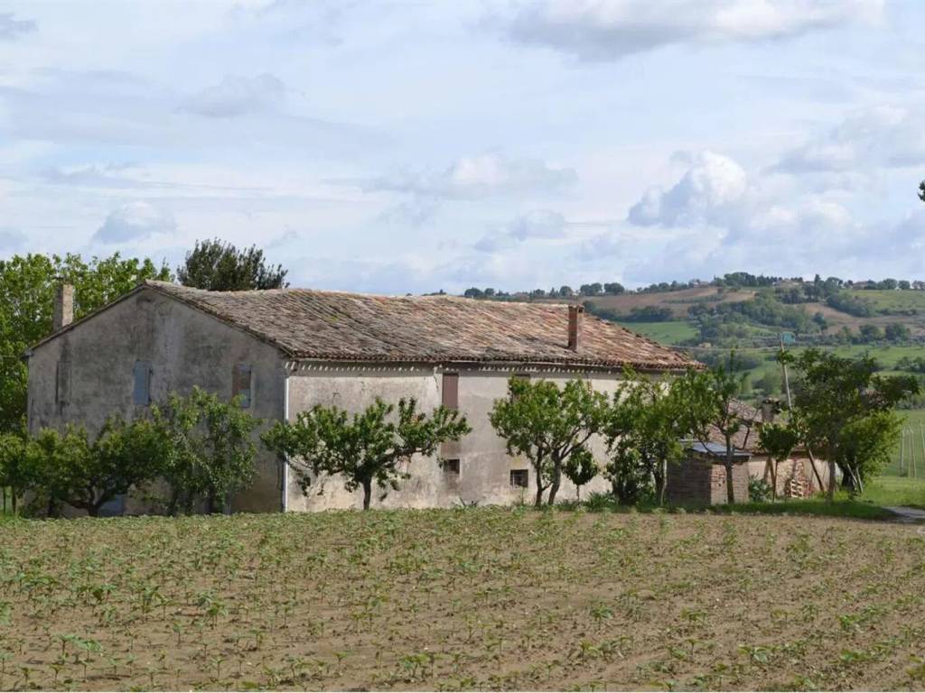 Rustico / casale a Cartoceto in Via San Vincenzo No Number - Foto 4