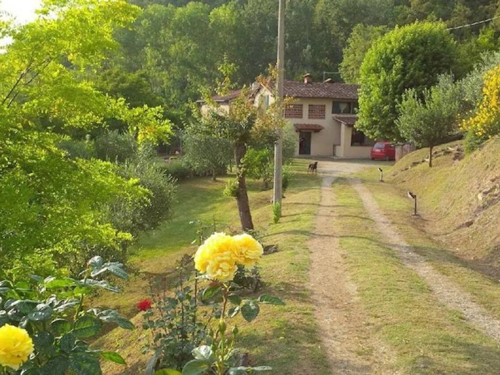 Rustico / casale a Vicchio - Foto 3