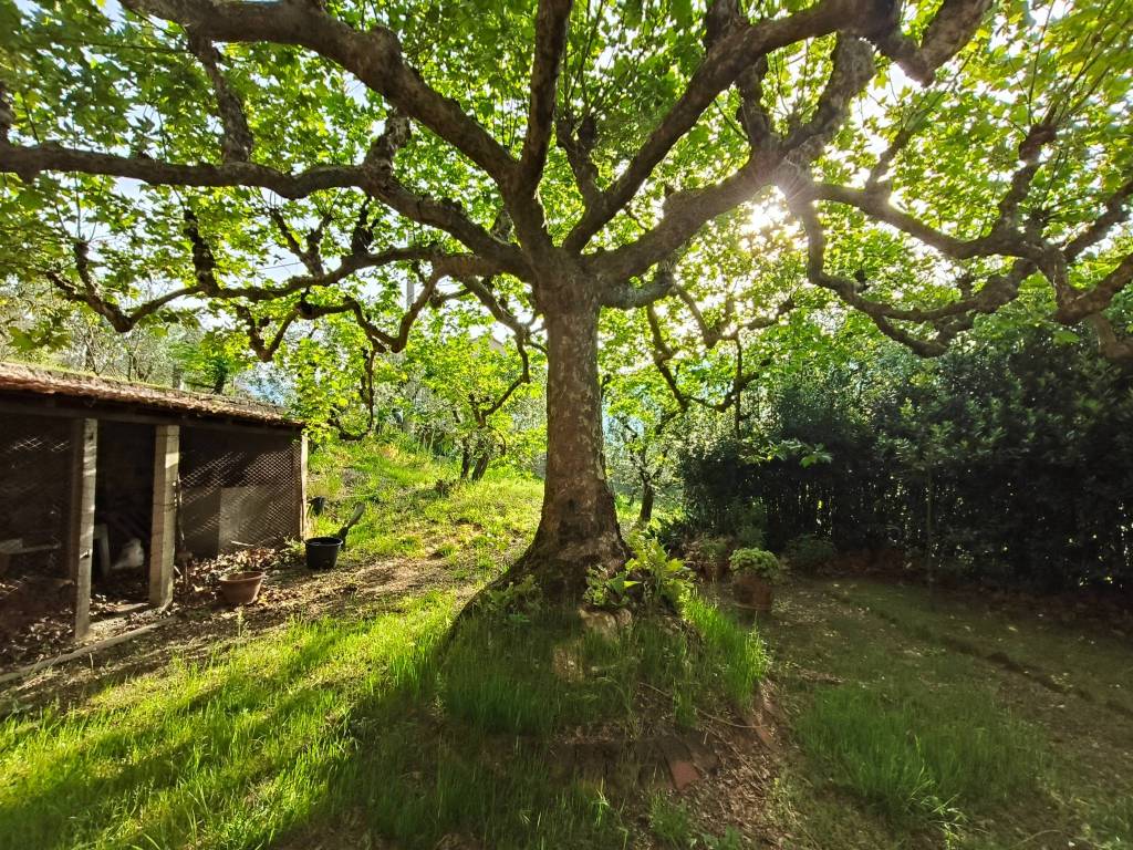 Rustico / casale a Larciano in Via Cecinese - Foto 2