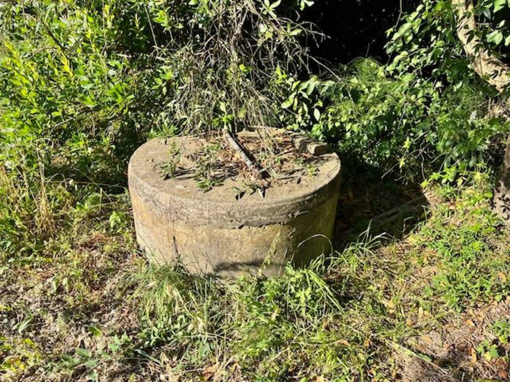 Terreno a Collesalvetti in Strada Provinciale 4 Delle Sorgenti - Foto 3