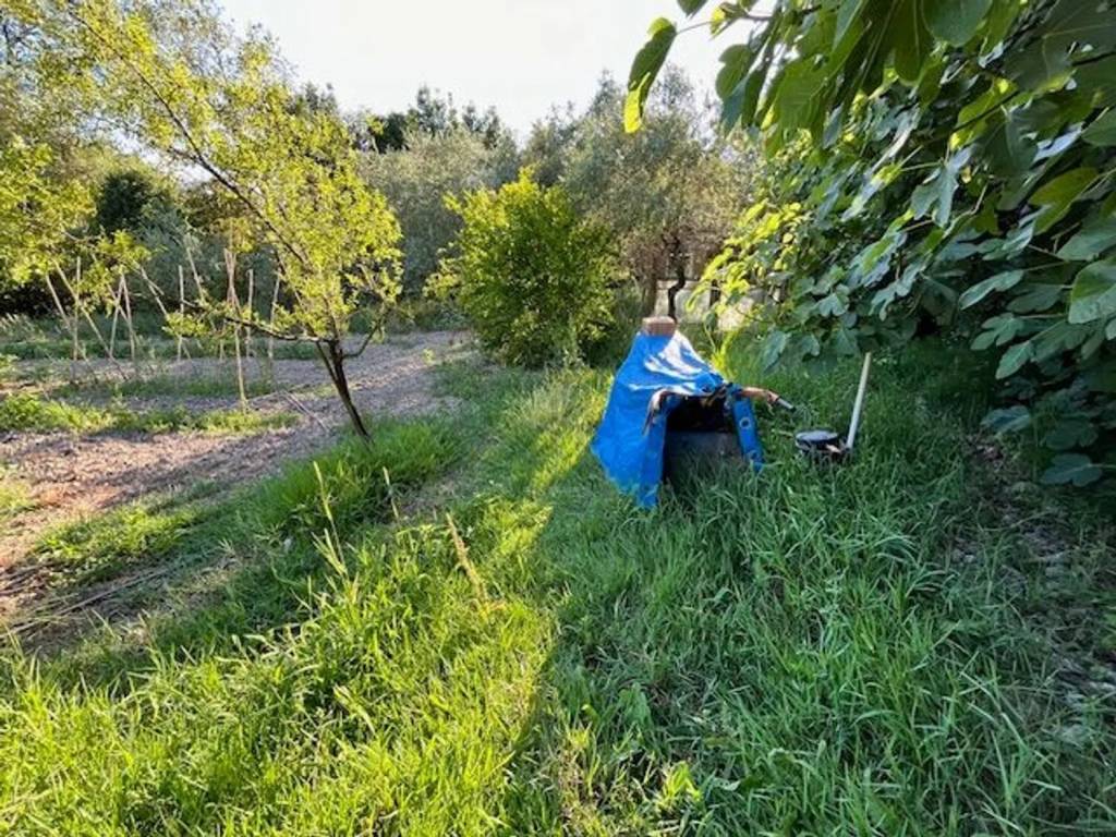Terreno a Collesalvetti in Strada Provinciale 4 Delle Sorgenti - Foto 4