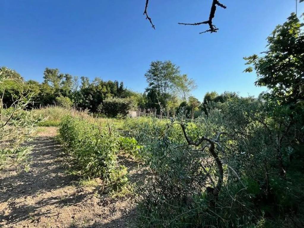 Terreno a Collesalvetti in Strada Provinciale 4 Delle Sorgenti - Foto 5