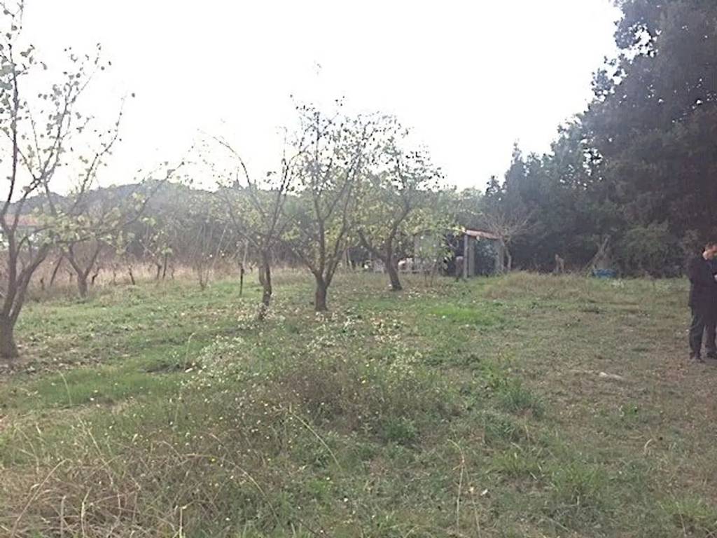 Appartamento a Fauglia in Via G. Marconi - Foto 2