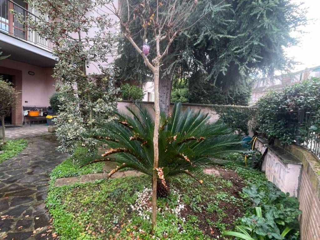 Villetta a schiera a Frosinone - Foto 2