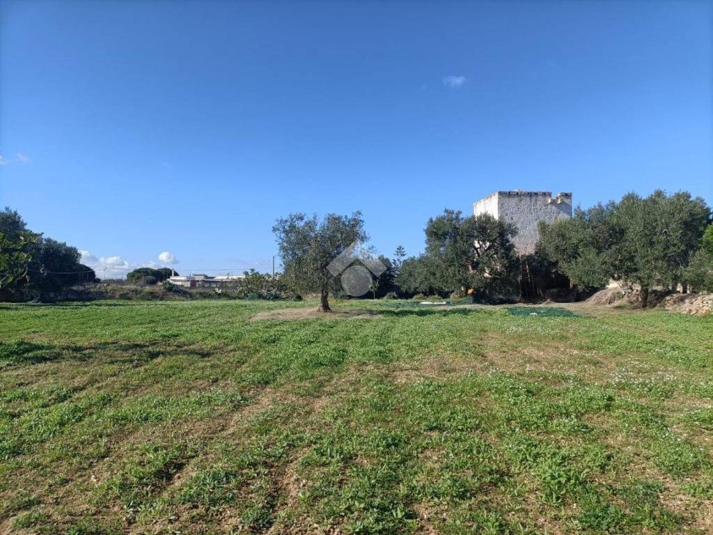 Terreno a Mola di bari in CONTRADA SAN GIOVANNI - Foto 4