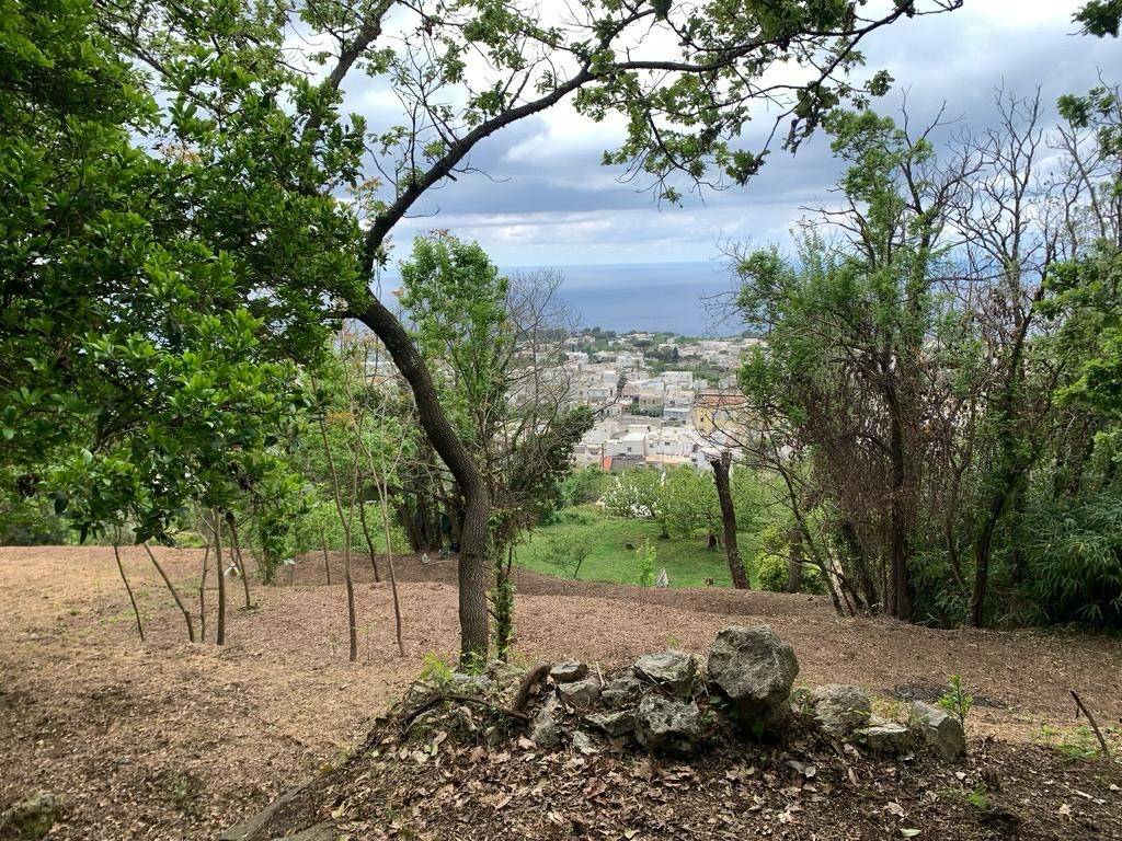 Terreno a Anacapri in Via Vicinale Caruso - Foto 3