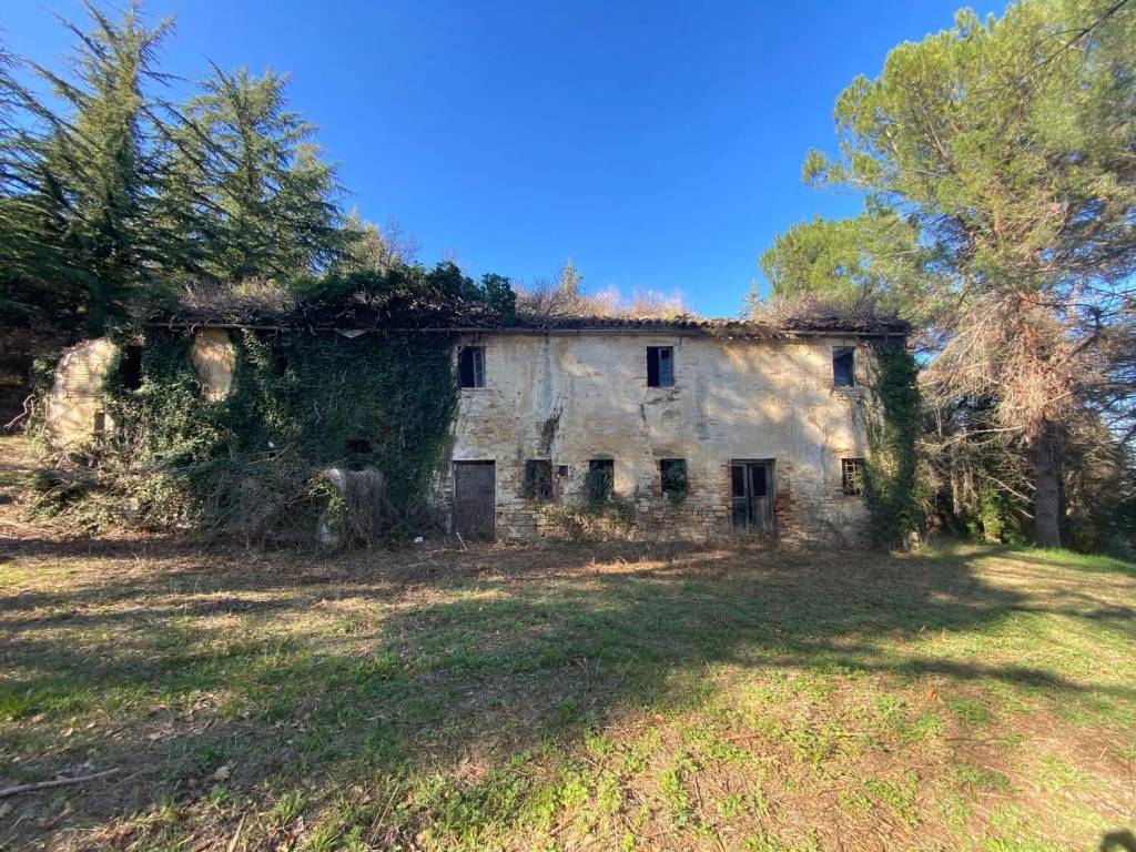 Rustico / casale a Montelparo in Contrada Coste - Foto 3