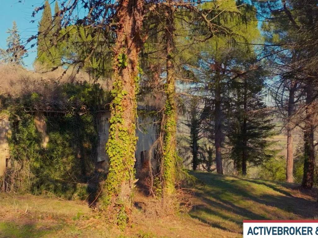 Rustico / casale a Montelparo in Contrada Coste - Foto 4