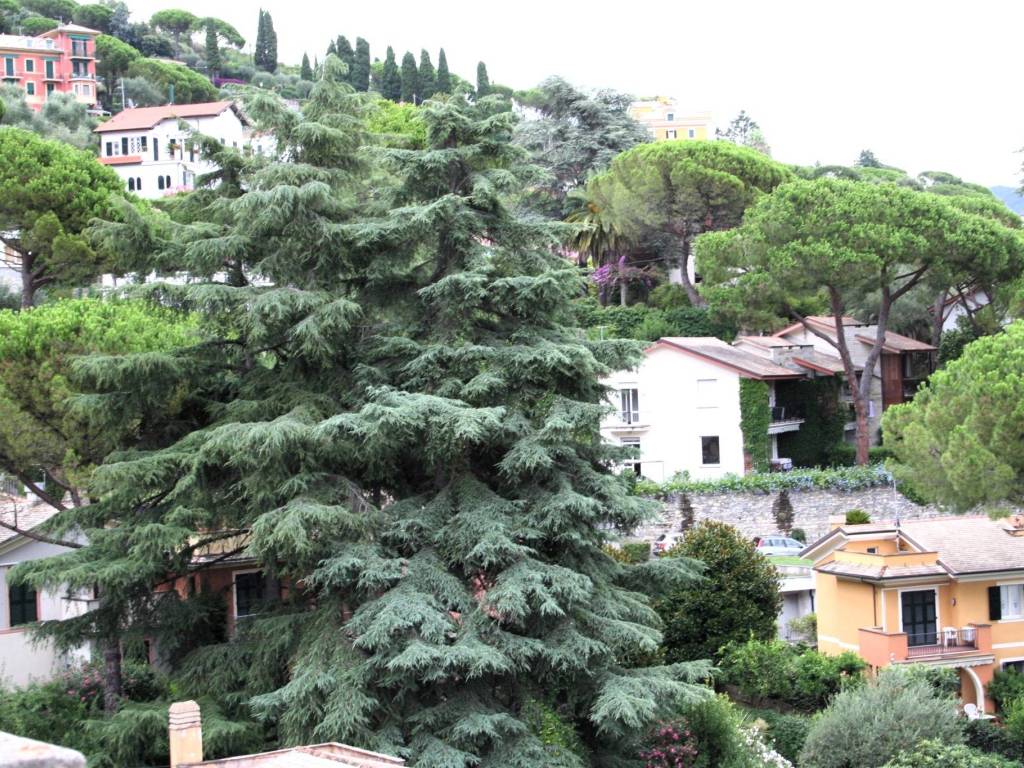 Appartamento a Santa margherita ligure in Corso Nicolò Cuneo - Foto 5