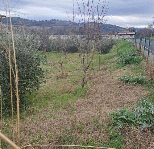 Terreno a Castelbellino in Via V. Bachelet 10 - Foto 3