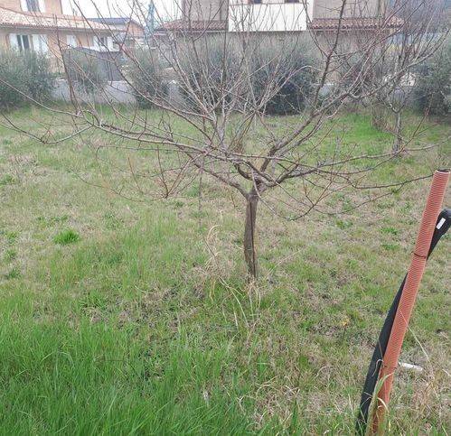 Terreno a Castelbellino in Via V. Bachelet 10 - Foto 4
