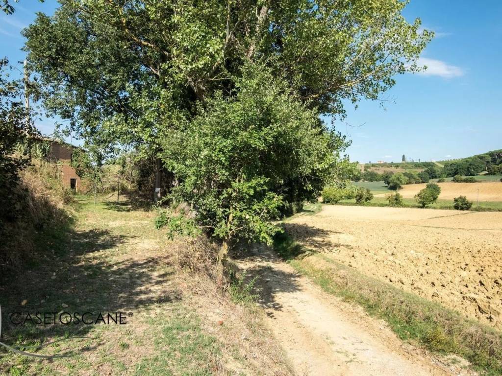 Rustico / casale a Montepulciano - Foto 5