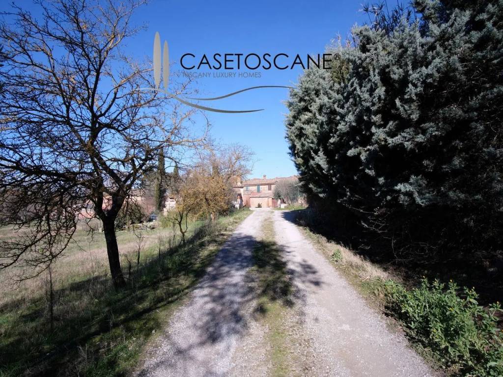 Rustico / casale a Asciano - Foto 4