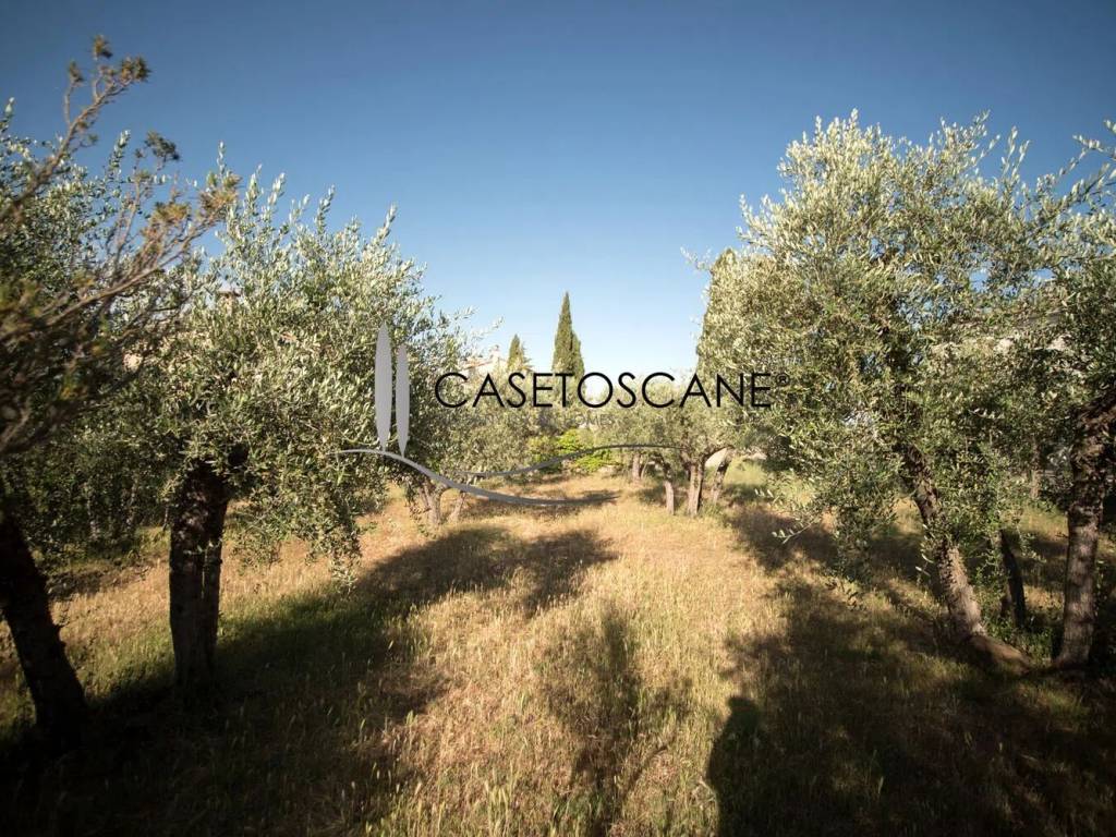 Villa a Lucignano in Rigutini, 1 - Foto 4