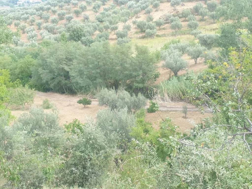 Terreno a Rende in Contrada Difesa No Number - Foto 4