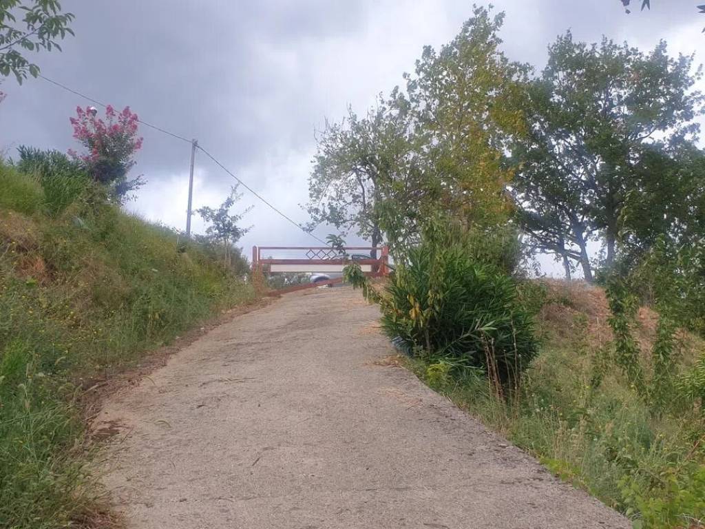 Terreno a Rende in Contrada Difesa No Number - Foto 5